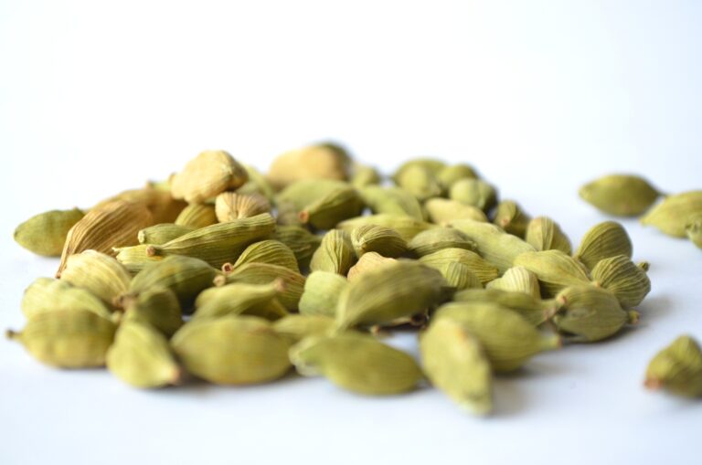 De la cardamome dans votre cuisine